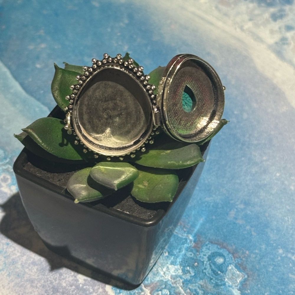 Silver Turquoise Poison Ring - image 6
